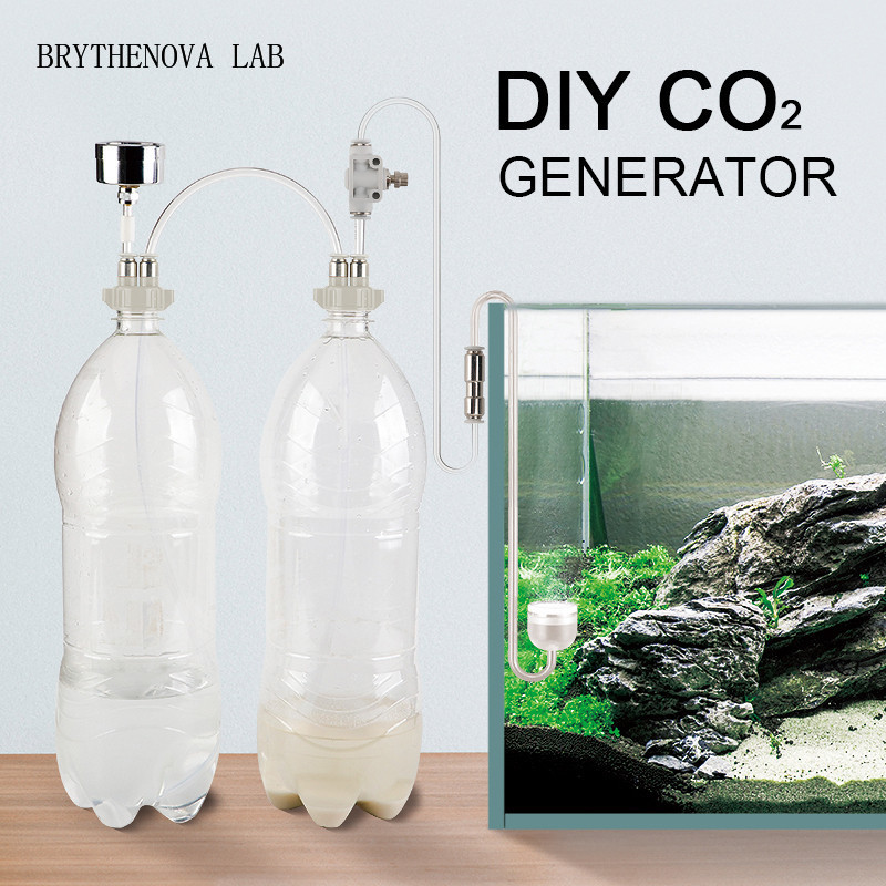 Aquarium Moss - CO2 발생기 수족관 수초 어항 CO2