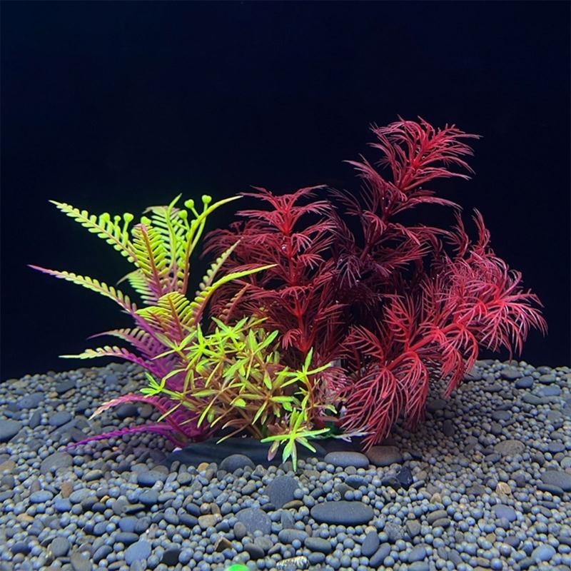 Live Plant Aquarium - 인공 수족관 장식 식물 물고기 장식