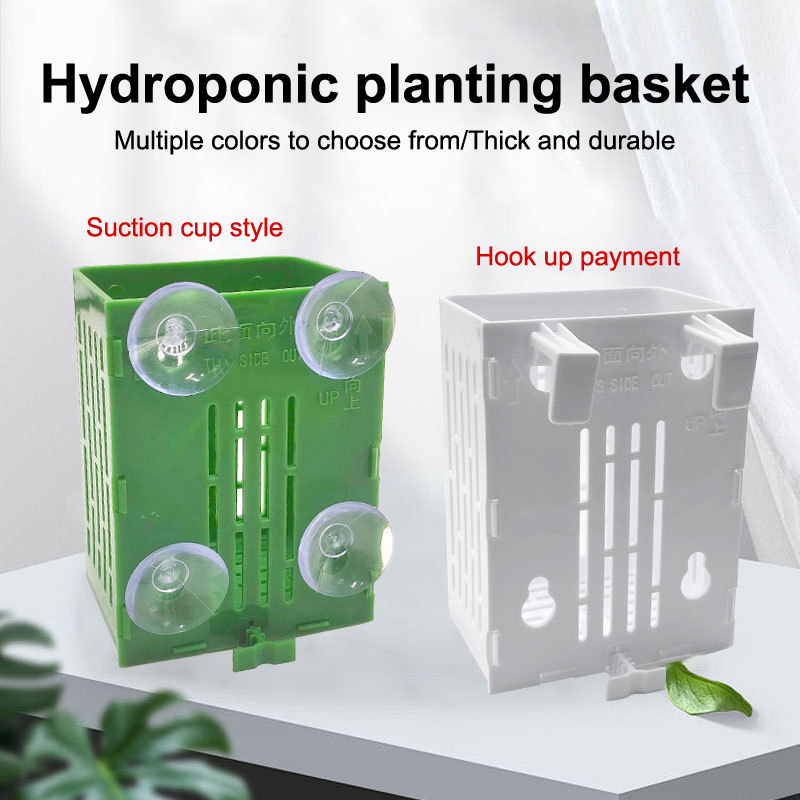 Plant Aquarium Pot - 행잉 흡입 컵 후크 수족관 식물