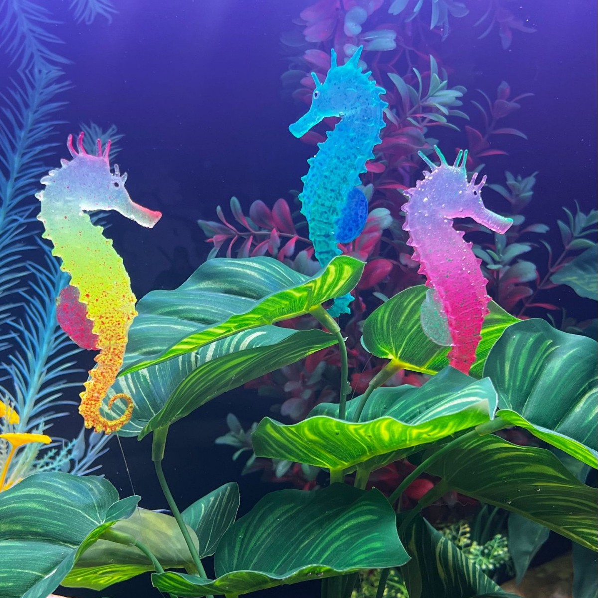 Aquarium Plant Substrate - 시뮬레이션 발광 해마 어항 장식, 가짜