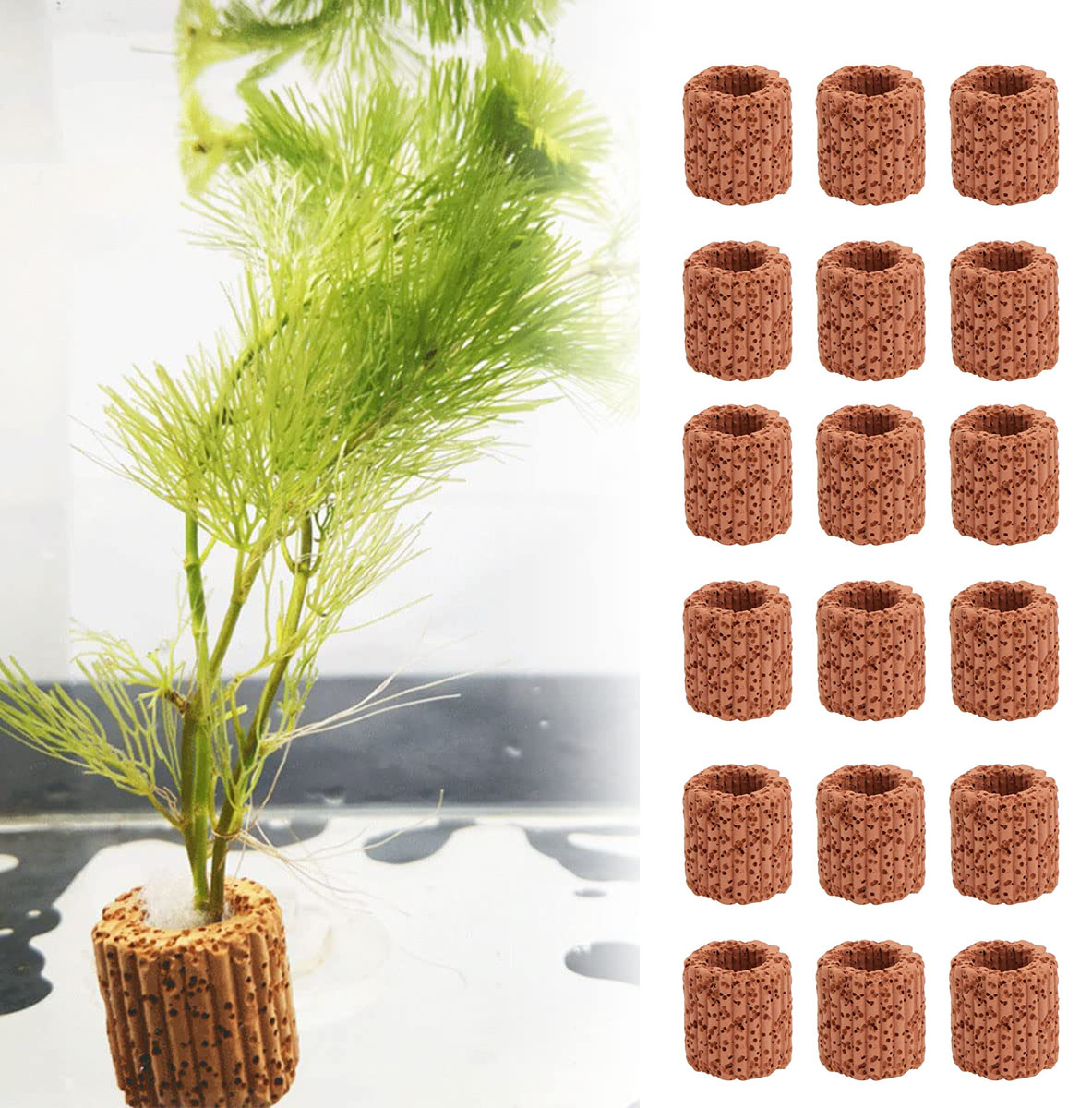 Plant Aquarium Pot - 수생 수생 식물 고정 링 베이스,
