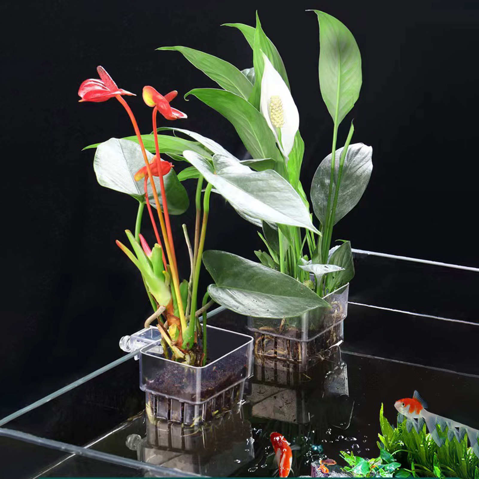 Aquarium Plant Holder - 투명 아크릴 재질의 수경 재배용 화분,