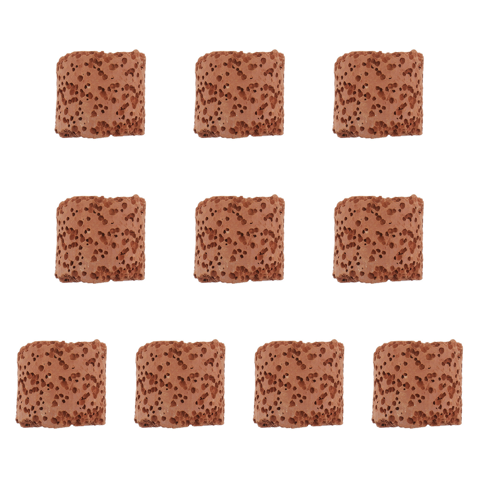 Planted Tank - 수족관 식물용 고정 링 10개, 수생