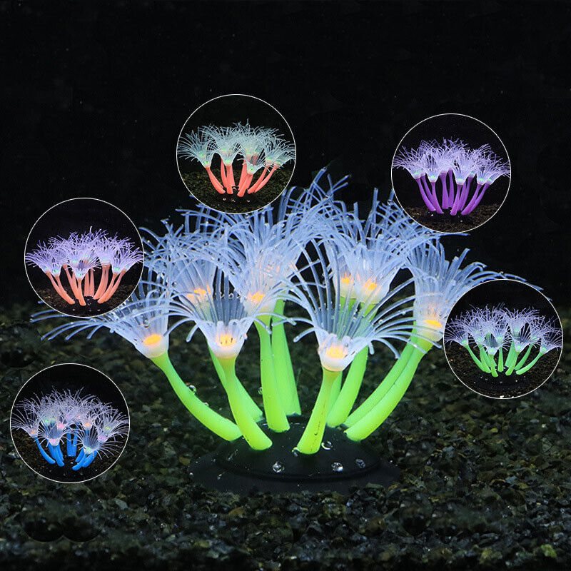 실리콘 발광 조경 인공 어항 물광 발광 산호 해바라기  - Live Plant Aquarium 리뷰 및 가격