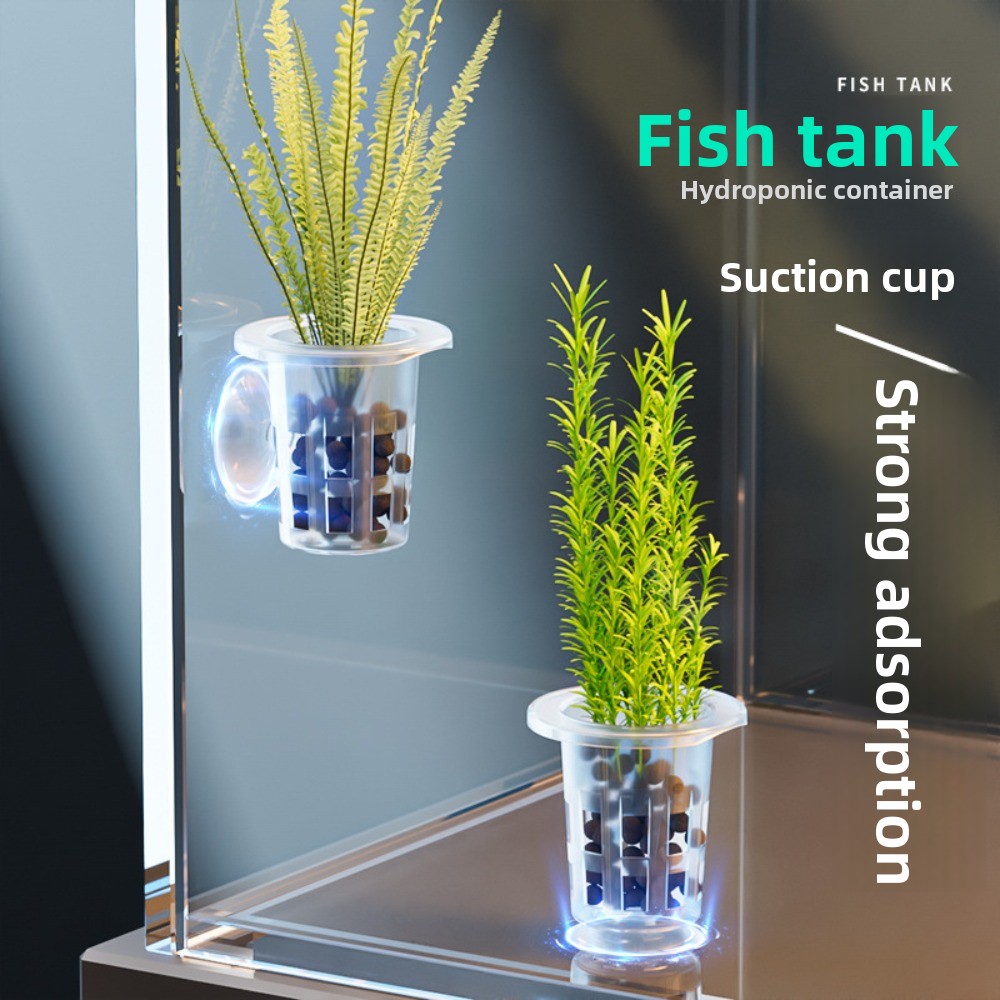 10Pcs 투명 식물 수경 재배 냄비 플라스틱 흡입 베 - Plant Aquarium Pot 리뷰 및 가격
