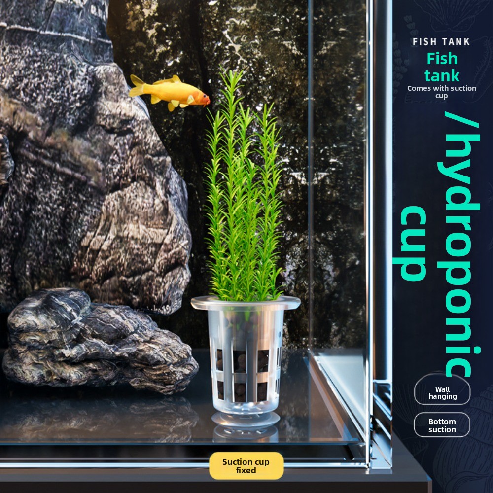 10Pcs 투명 식물 수경 재배 냄비 플라스틱 흡입 베 - Plant Aquarium Pot 리뷰 및 가격