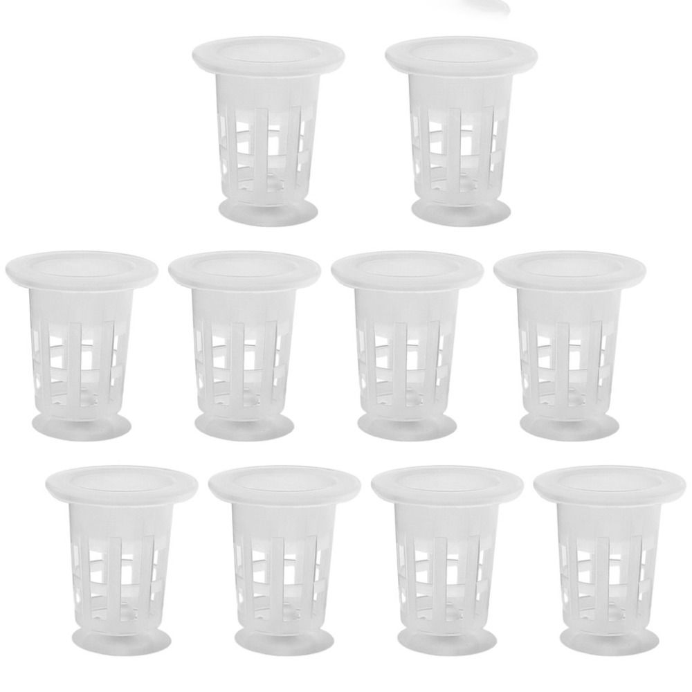 10Pcs 투명 식물 수경 재배 냄비 플라스틱 흡입 베 - Plant Aquarium Pot 리뷰 및 가격