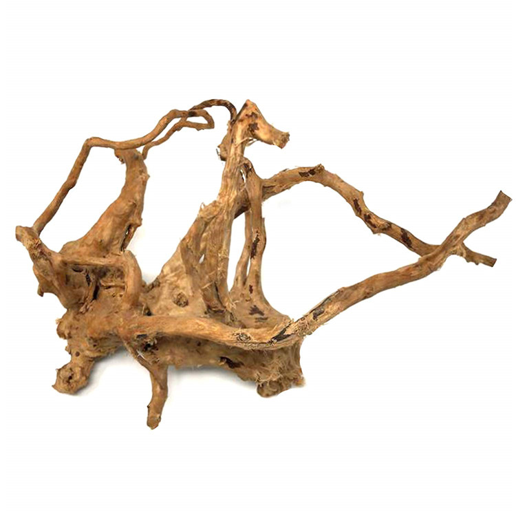 도매 어항 조경용 자연광택 침몰목 장식용 수족관 유목 - Aquarium Driftwood 리뷰 및 가격