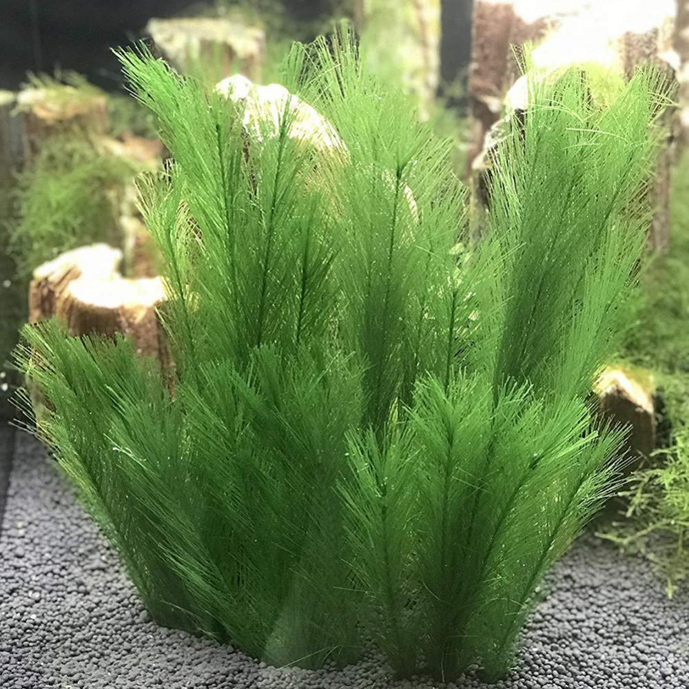 1/3Pcs 28/40cm 수족관 물고기 탱크 인공 물 - Aquarium Plants Live 리뷰 및 가격