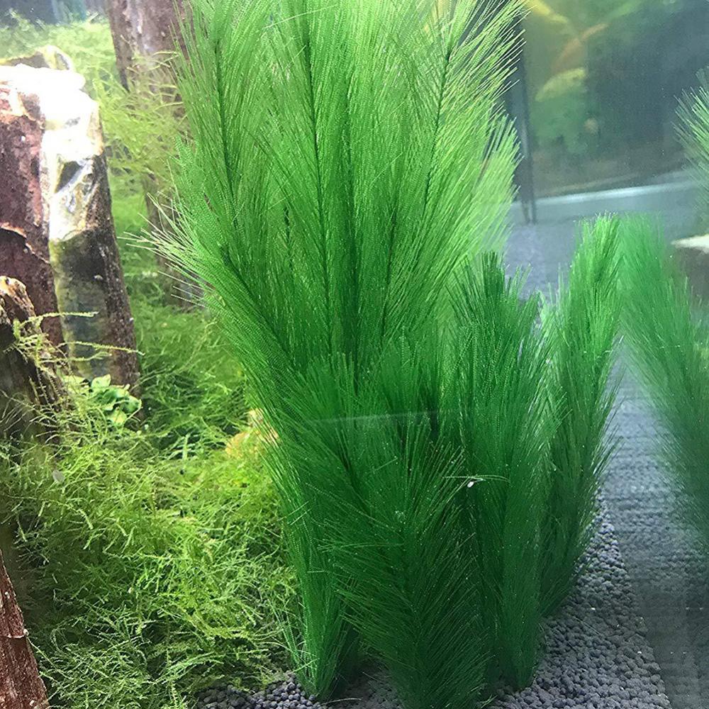 1/3Pcs 28/40cm 수족관 물고기 탱크 인공 물 - Aquarium Plants Live 리뷰 및 가격