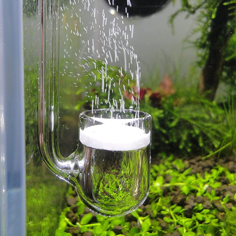 탱크에 심은 수족관용 D0AD 유리 CO2 디퓨저 Si - Aquarium Liquid Carbon 리뷰 및 가격