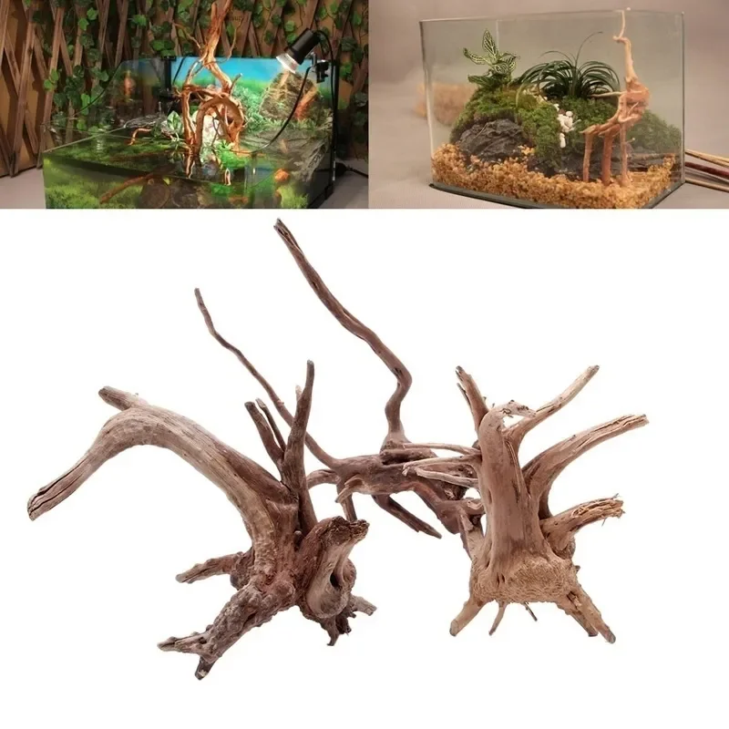 천연 나무 줄기 유목 수족관 어항, 파충류 실린더 뿌리 - Aquarium Plants Live 리뷰 및 가격