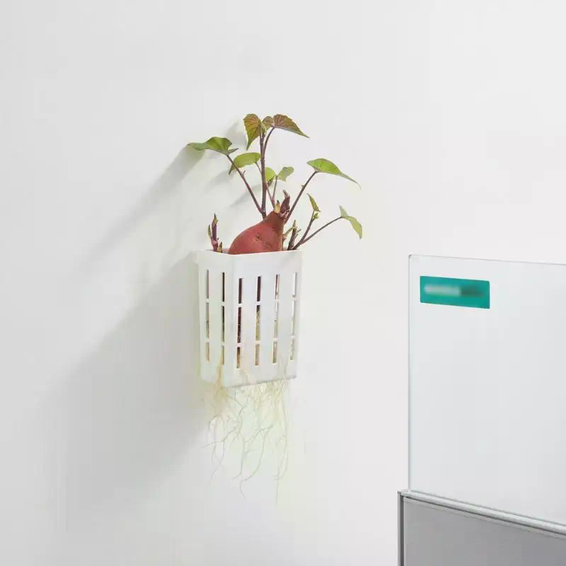 1개 수경재배 지지 바구니 어항 식물 재배 컵 수초 수 - Plant Aquarium Pot 리뷰 및 가격
