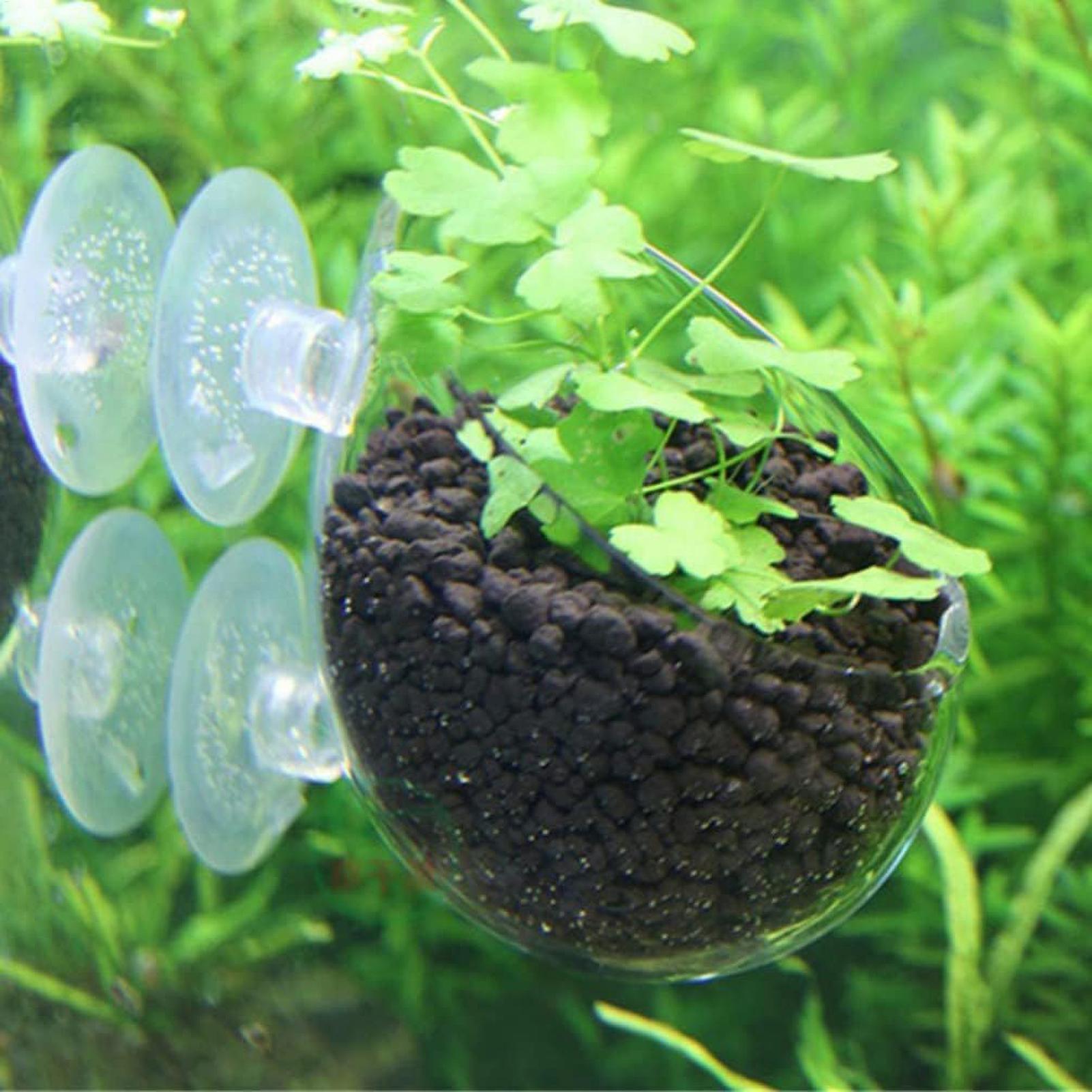 수족관 식물 홀더 유리 수생 식물 화분 흡착판 포함 생 - Plant Aquarium Pot 리뷰 및 가격