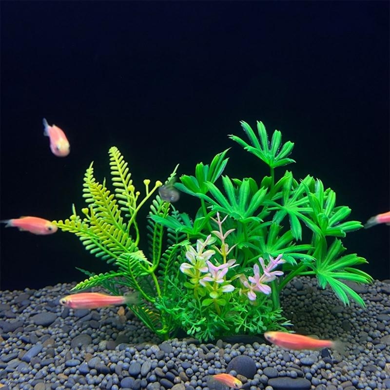 인공 수족관 장식 식물 물고기 장식 수족관 조경 시뮬레 - Live Plant Aquarium 리뷰 및 가격