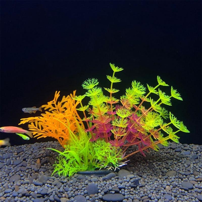 인공 수족관 장식 식물 물고기 장식 수족관 조경 시뮬레 - Live Plant Aquarium 리뷰 및 가격