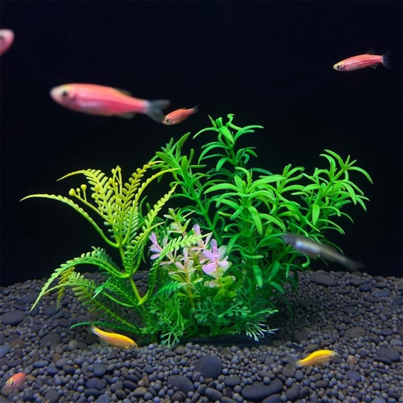 인공 수족관 장식 식물 물고기 장식 수족관 조경 시뮬레 - Live Plant Aquarium 리뷰 및 가격