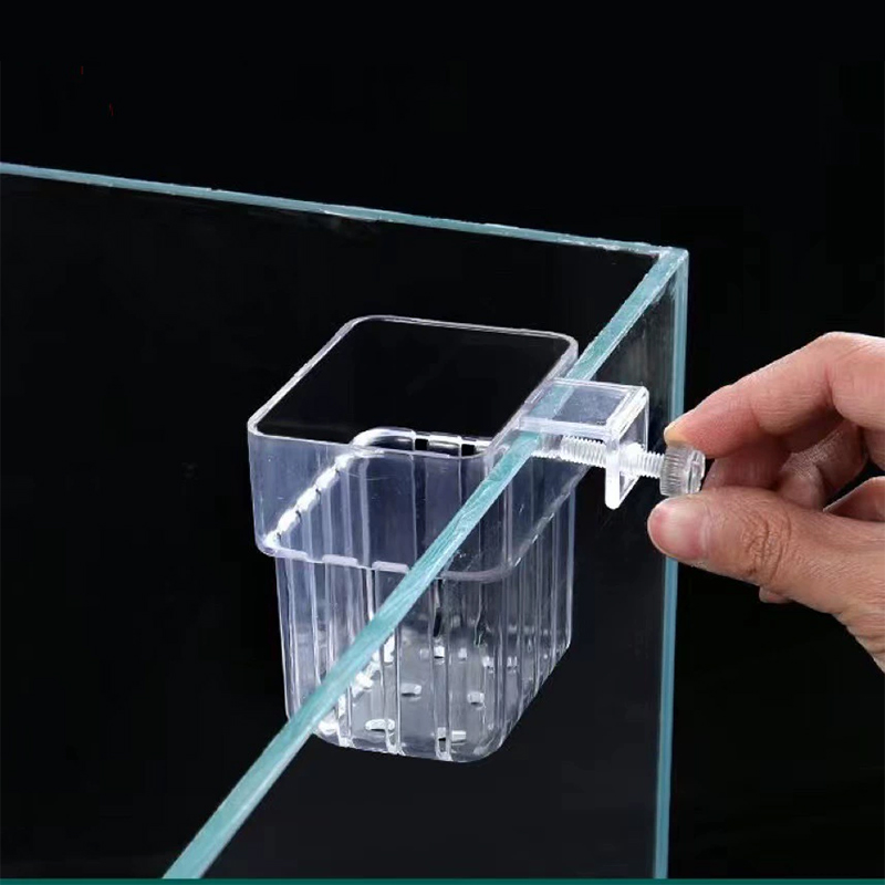 수족관 식물 홀더 투명한 걸이형 화분, 어항 수생 식물 - Plant Aquarium Pot 리뷰 및 가격