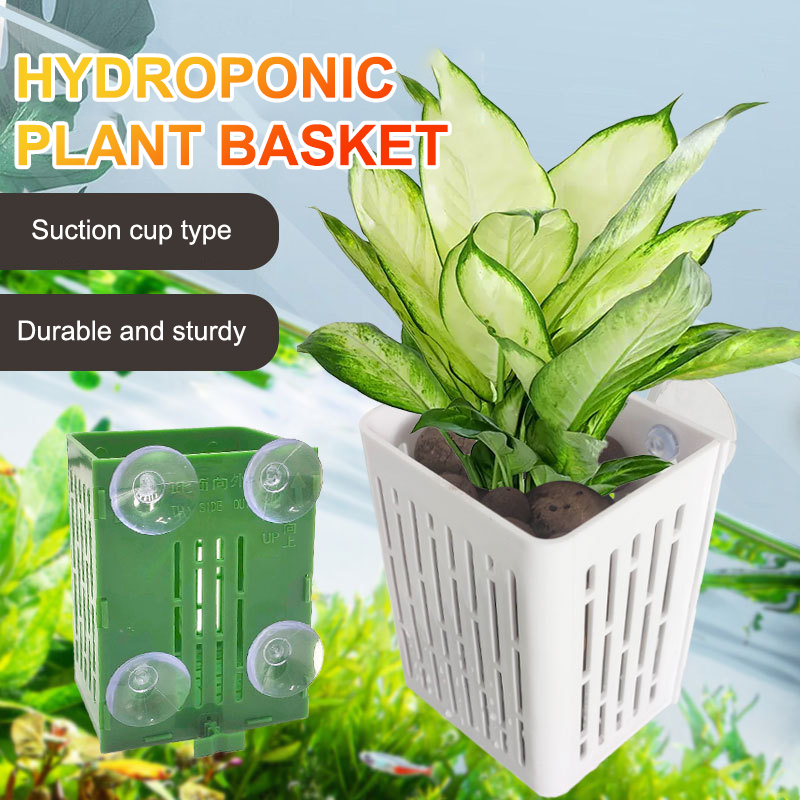 행잉 흡입 컵 후크 수족관 식물 거치대 플라스틱 수족관 - Plant Aquarium Pot 리뷰 및 가격