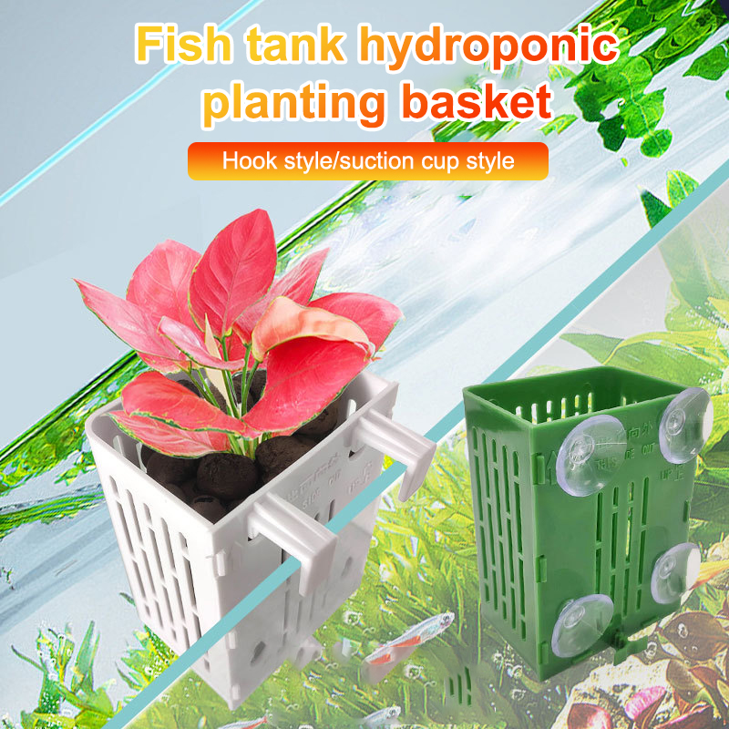 행잉 흡입 컵 후크 수족관 식물 거치대 플라스틱 수족관 - Plant Aquarium Pot 리뷰 및 가격