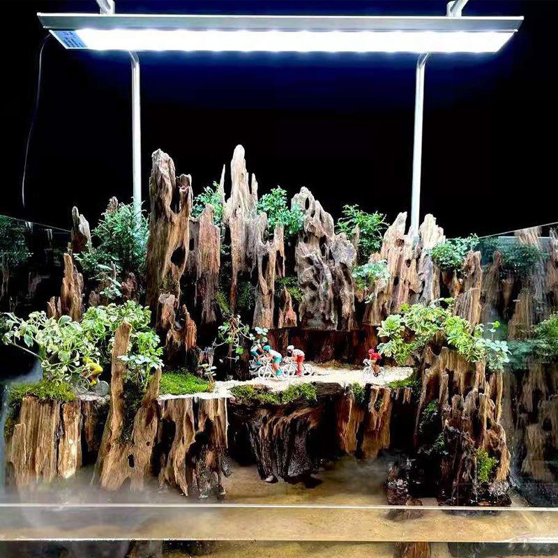 새우를 위한 자연스러운 구멍이 있는 어항 장식용 장식품 - Aquarium Driftwood 리뷰 및 가격