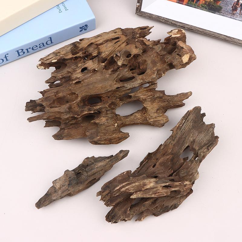 새우를 위한 자연스러운 구멍이 있는 어항 장식용 장식품 - Aquarium Driftwood 리뷰 및 가격