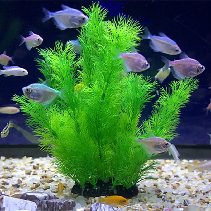 인공 수족관 장식 식물 수중 물 잔디 수족관 장식을위한 - Aquarium Plants Live 리뷰 및 가격