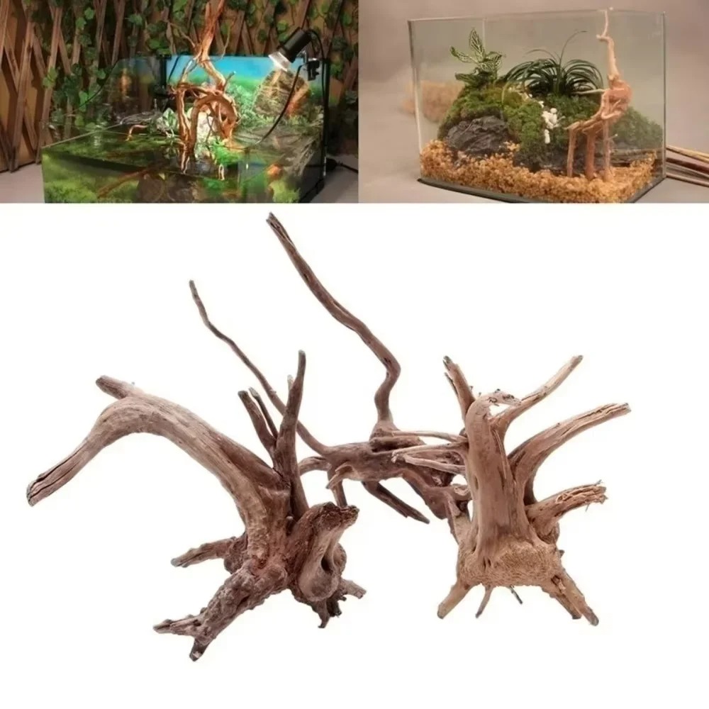 15-20CM 천연 유목 수족관 장식 - 프리미엄 나무 - Aquarium Driftwood 리뷰 및 가격