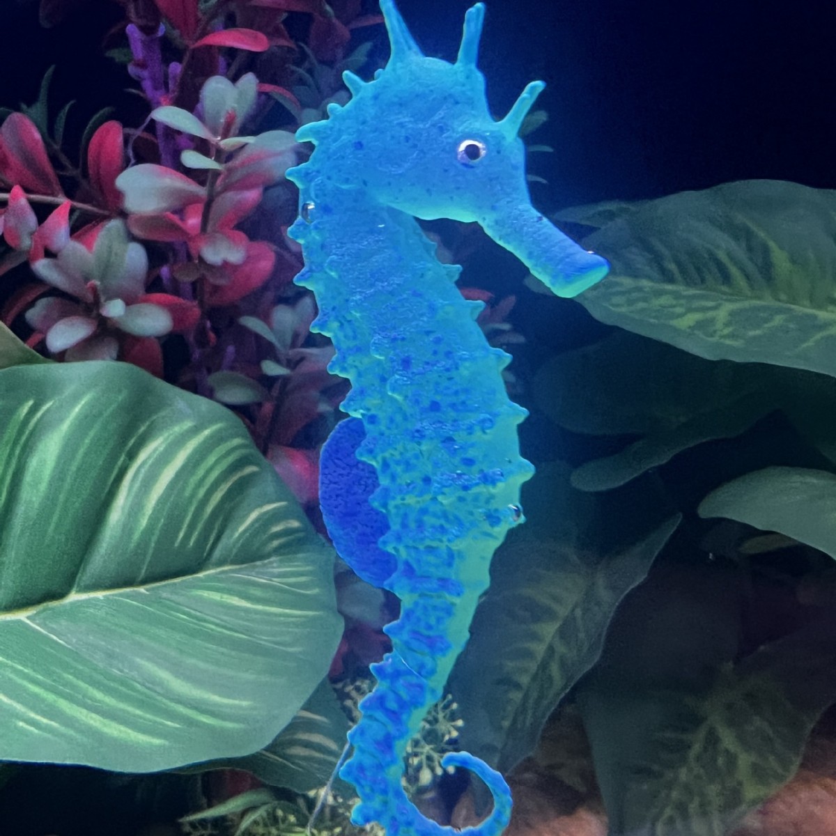 시뮬레이션 발광 해마 어항 장식, 가짜 물고기 장식품, - Aquarium Plant Substrate 리뷰 및 가격