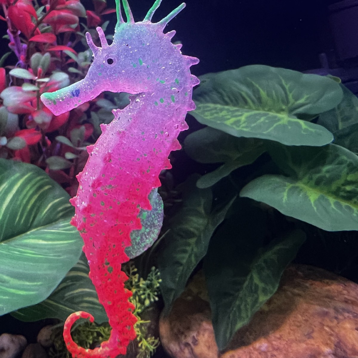 시뮬레이션 발광 해마 어항 장식, 가짜 물고기 장식품, - Aquarium Plant Substrate 리뷰 및 가격