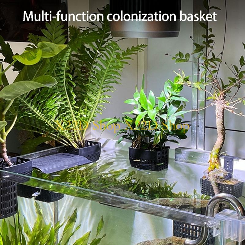 X22D 현대 고대 스타일 수직 식물 홀더 플라스틱 벽 - Plant Aquarium Pot 리뷰 및 가격