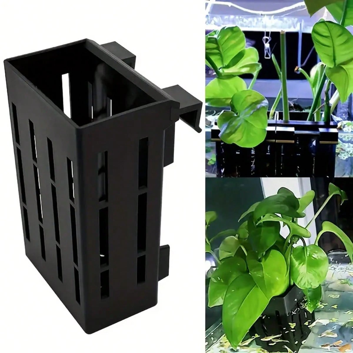 수족관 식물 홀더 물고기 탱크 수생 식물 고정 안정적인 - Aquarium Plant Holder 리뷰 및 가격