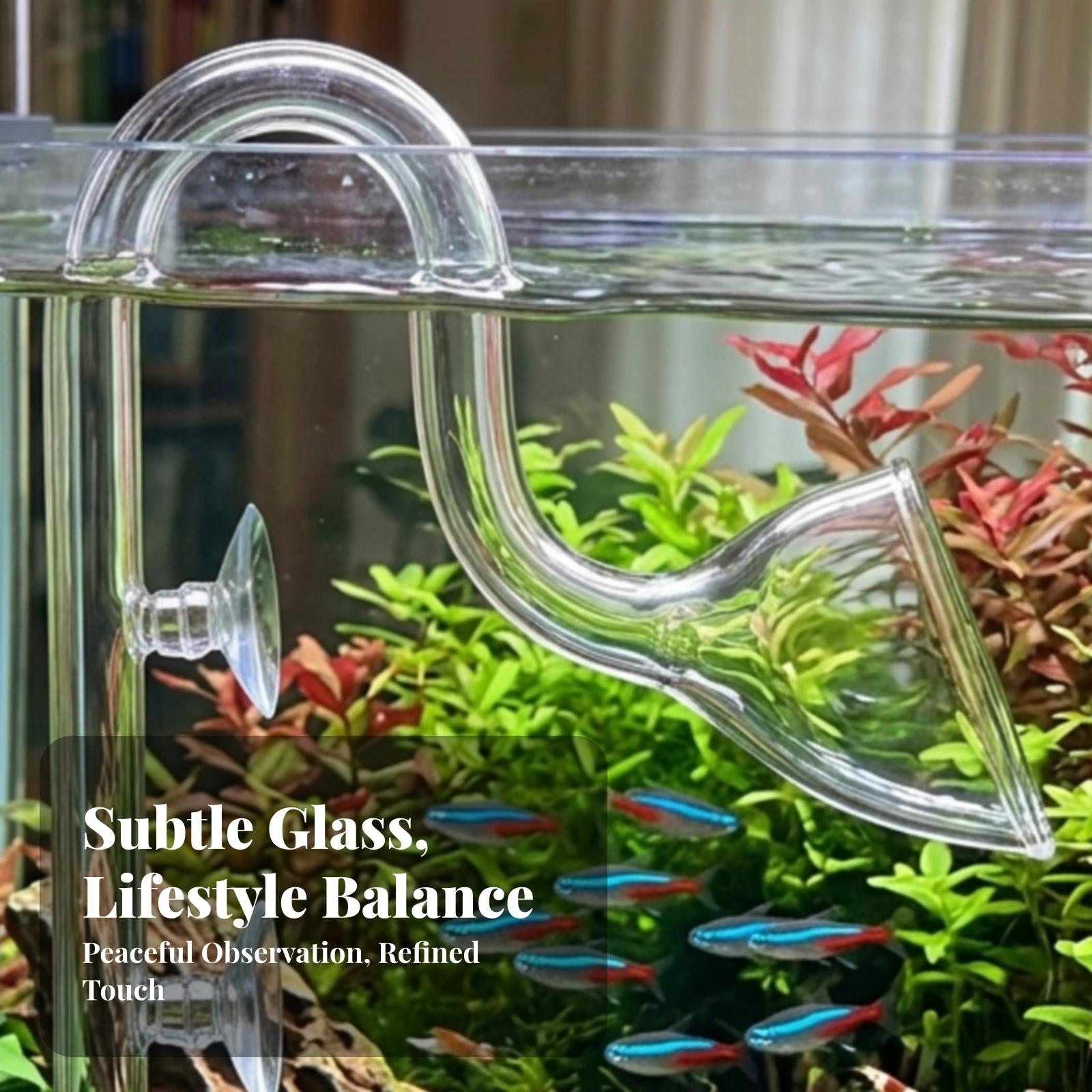 수족관 필터 입구 및 출구 투명 수족관 릴리 파이프 세 - Aquarium Planted Tank Filter 리뷰 및 가격