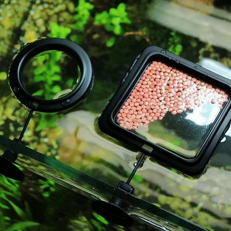 1/3개 수족관 물고기 먹이 링 어항 하트 모양 플로팅 - Aquarium Fertilizer 리뷰 및 가격