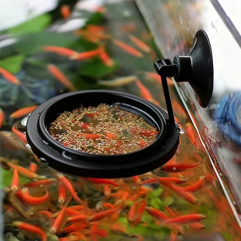 1/3개 수족관 물고기 먹이 링 어항 하트 모양 플로팅 - Aquarium Fertilizer 리뷰 및 가격