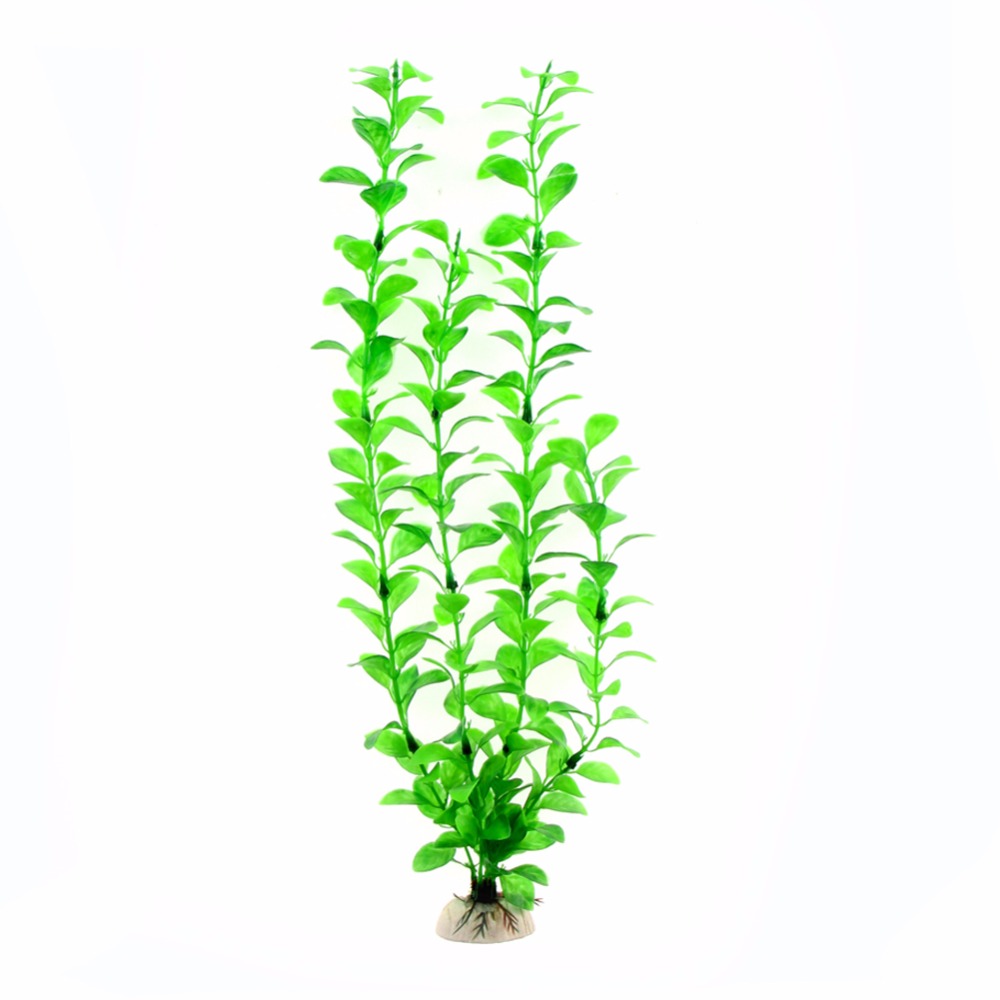 장식 수족관 액세서리 인공 수중 식물 수족관 물고기 탱 - Aquarium Plants Live 리뷰 및 가격