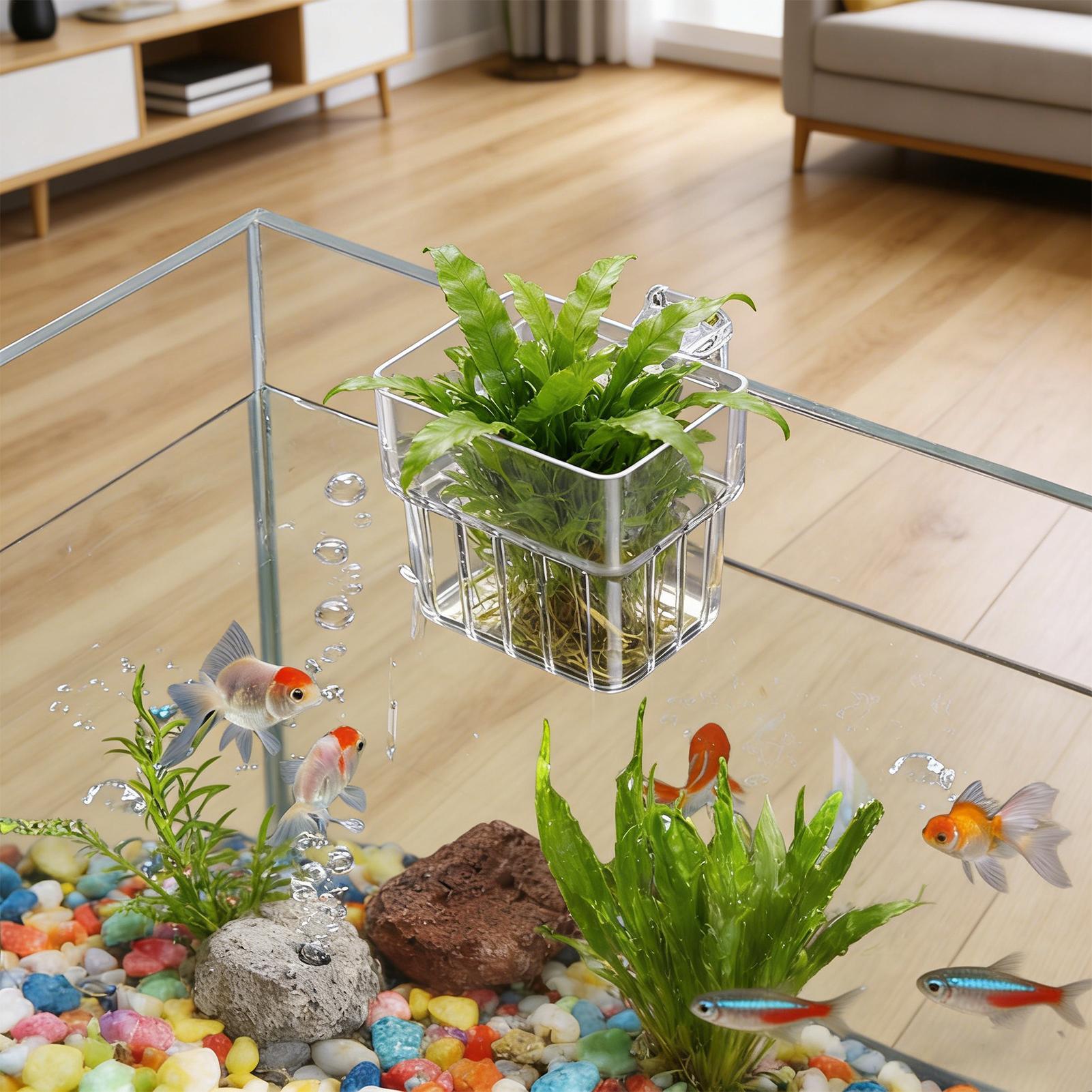 투명한 걸이식 수족관 식물 홀더 화분, 어항 수경재배  - Plant Aquarium Pot 리뷰 및 가격