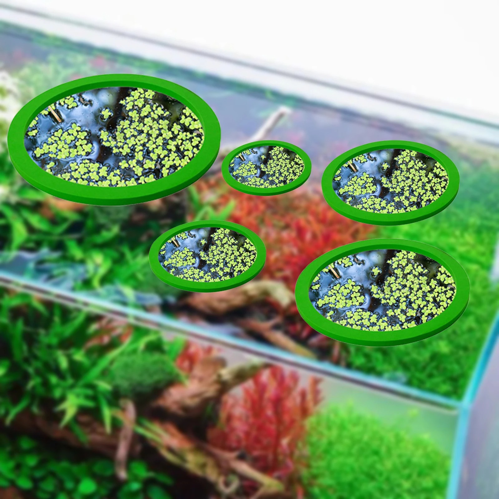 EVA 물고기 먹이 고리 수족관 플로팅 식물, 코랄 어 - Planted Tank 리뷰 및 가격