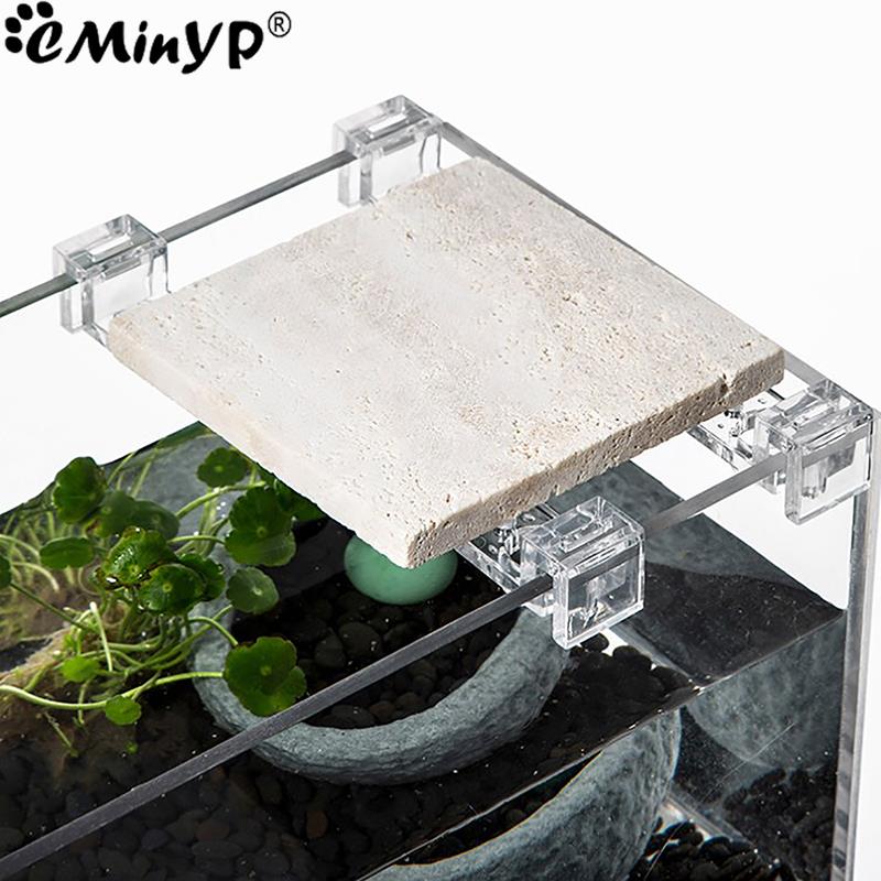 5.5mm ~ 15mm 벽 두께에 대 한 4Pcs 물고 - Aquarium Plant Holder 리뷰 및 가격