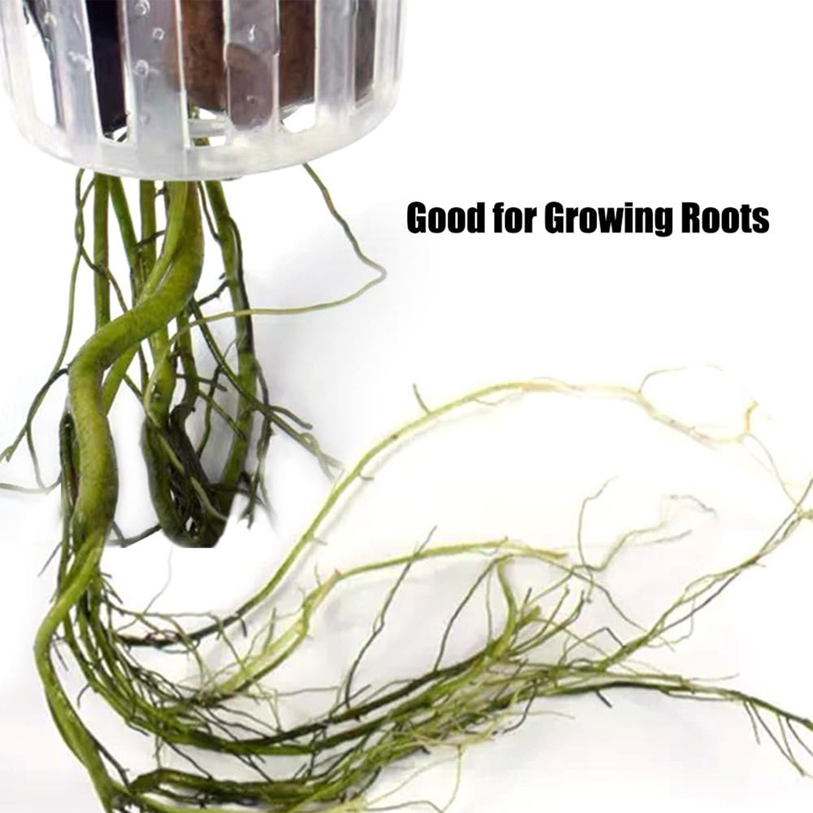 구멍이 있는 걸이형 수생 식물 홀더 2개 세트, 수족관 - Plant Aquarium Pot 리뷰 및 가격