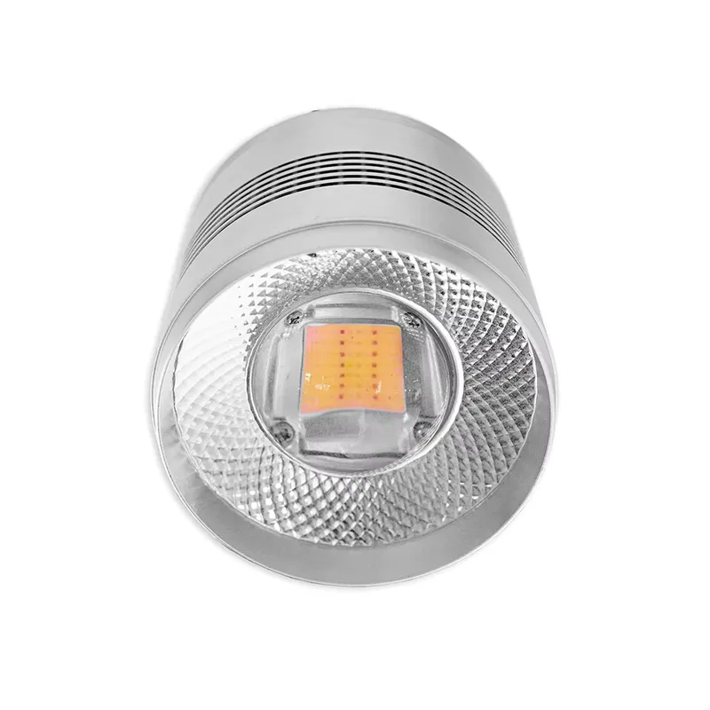 70W LED 수족관 조명, 담수 수초 수조 해조류 제 - Planted Aquarium Algae Control 리뷰 및 가격