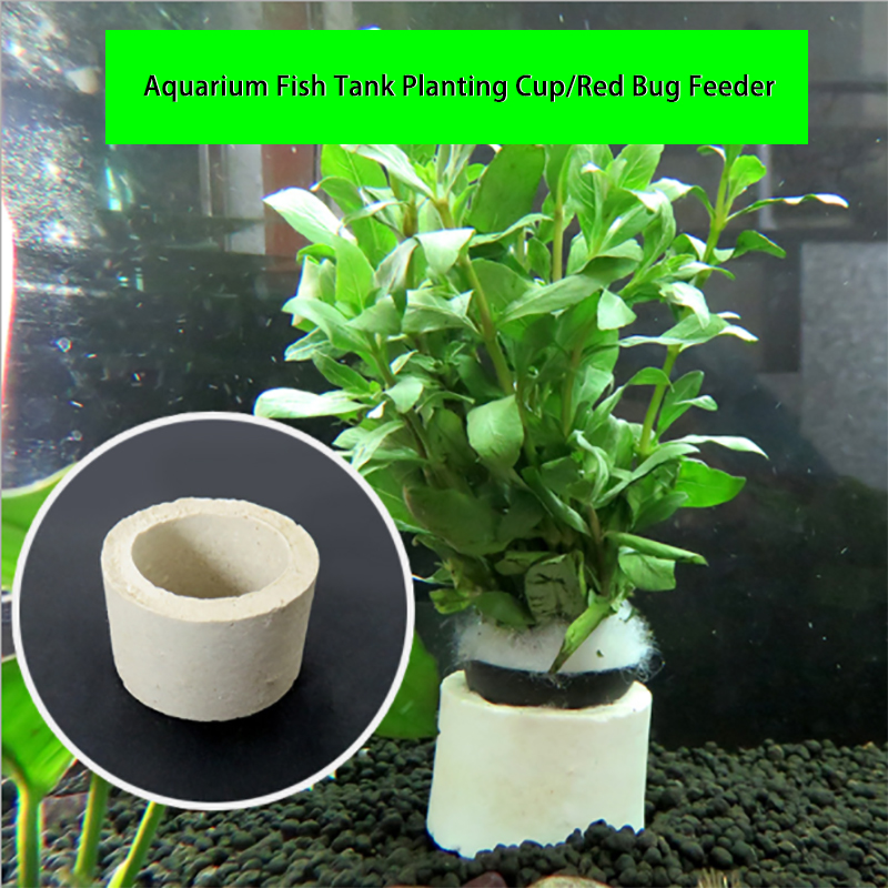수족관 장식 세라믹 링, 어항 식물 고정 냄비, 물방울 - Plant Aquarium Pot 리뷰 및 가격