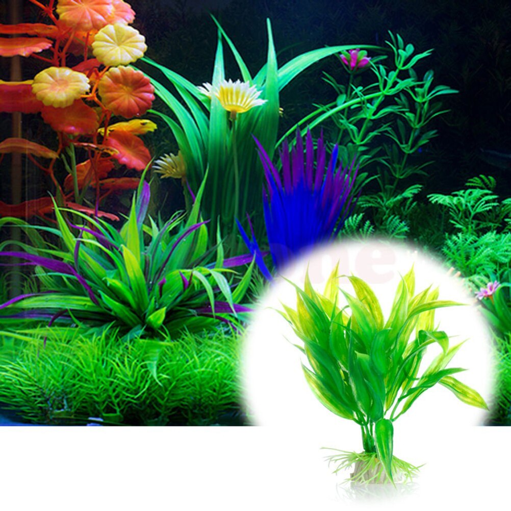 인공 수족관 장식 식물, 물 잡초 장식, 수생 식물,  - Aquarium Plants Live 리뷰 및 가격