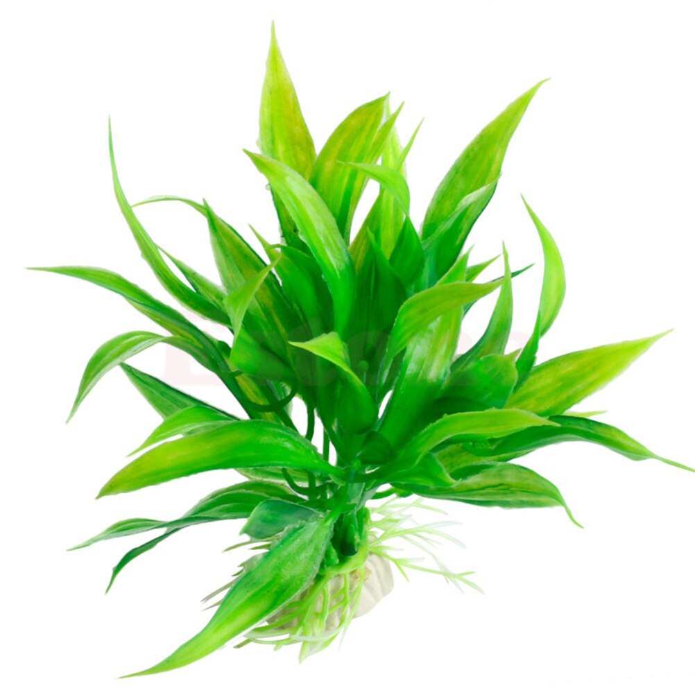 인공 수족관 장식 식물, 물 잡초 장식, 수생 식물,  - Aquarium Plants Live 리뷰 및 가격