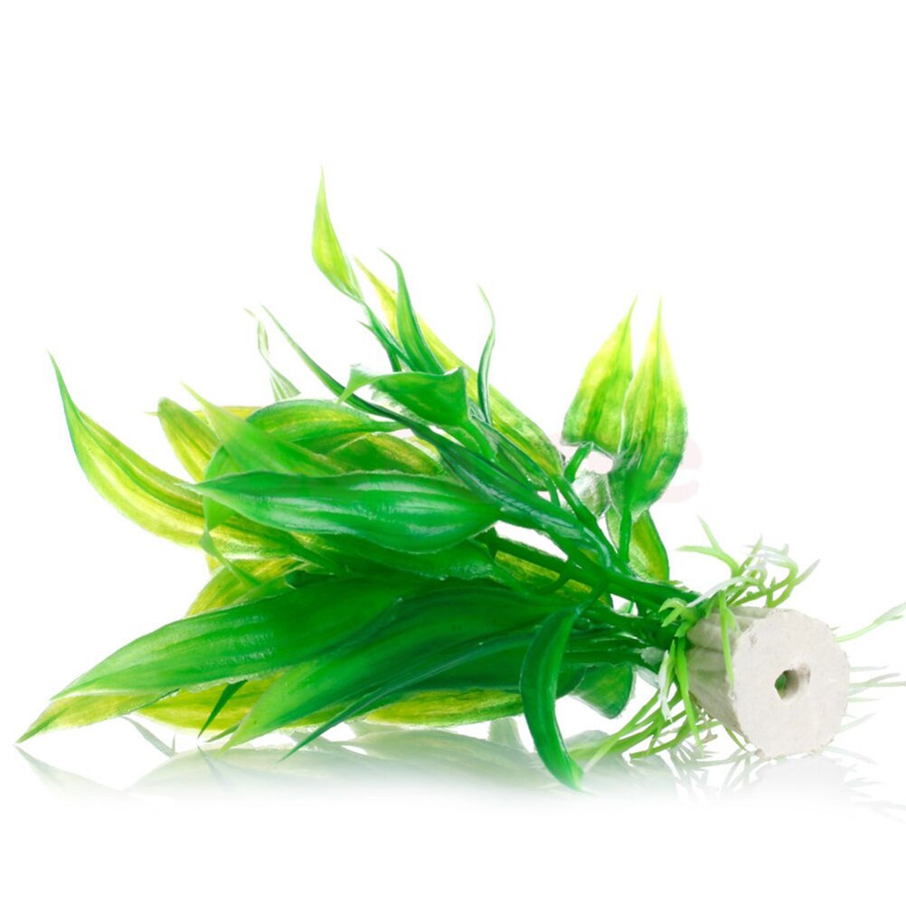 인공 수족관 장식 식물, 물 잡초 장식, 수생 식물,  - Aquarium Plants Live 리뷰 및 가격