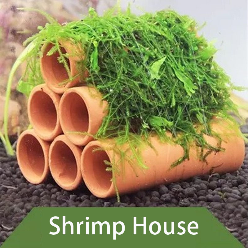점토 수족관 장식 물고기 새우 놀이 숨어있는 동굴 대피 - Aquarium Plants Live 리뷰 및 가격