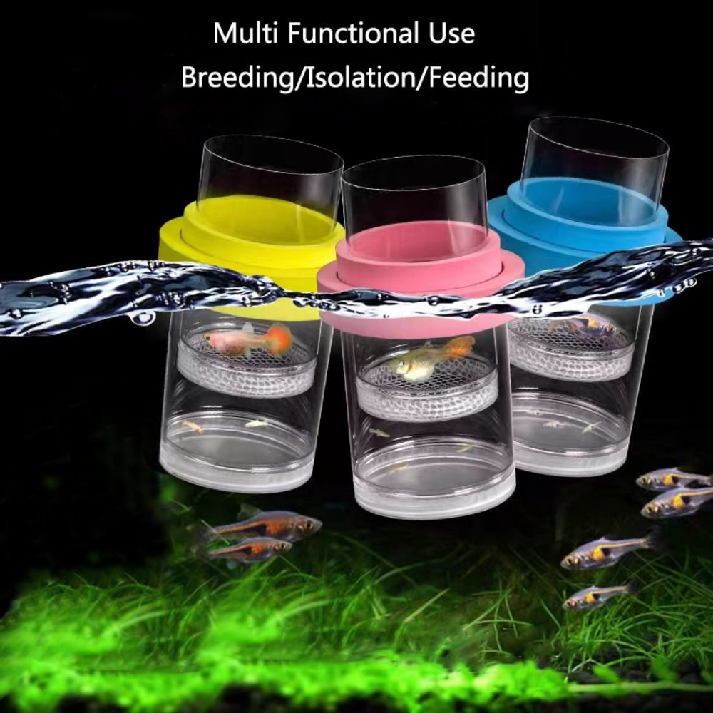 플라스틱 부동 물고기 사육 격리 상자 수족관 브리더 피 - Aquarium Fertilizer 리뷰 및 가격