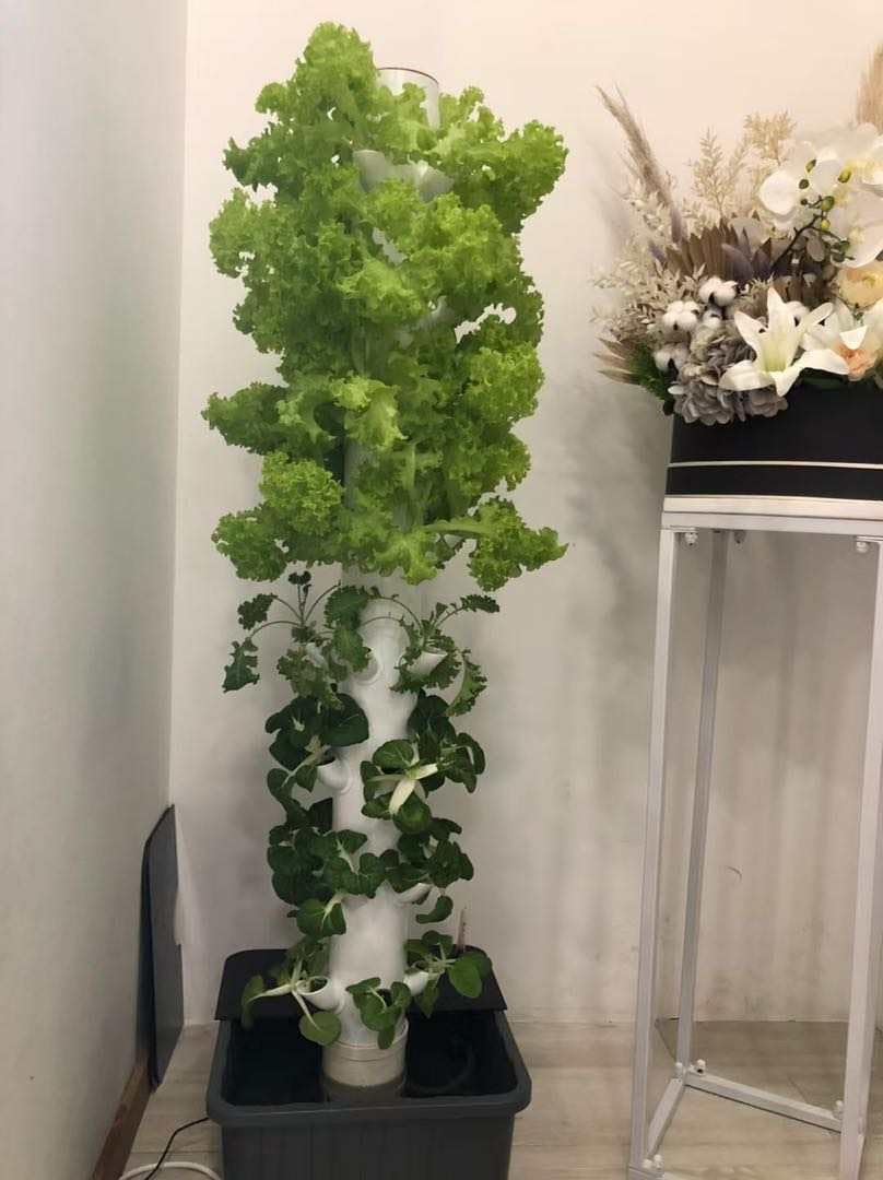 수직 수경 재배 타워 에어로포닉 타워 (허브, 과일 및 - Planted Tank 리뷰 및 가격