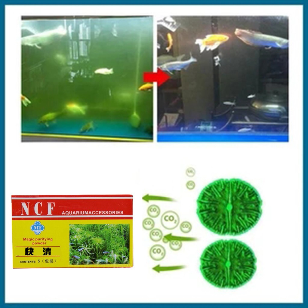 수족관 정수 분말 냄새 제거 조류 제거 이끼 제거 민물 - Aquarium Moss 리뷰 및 가격