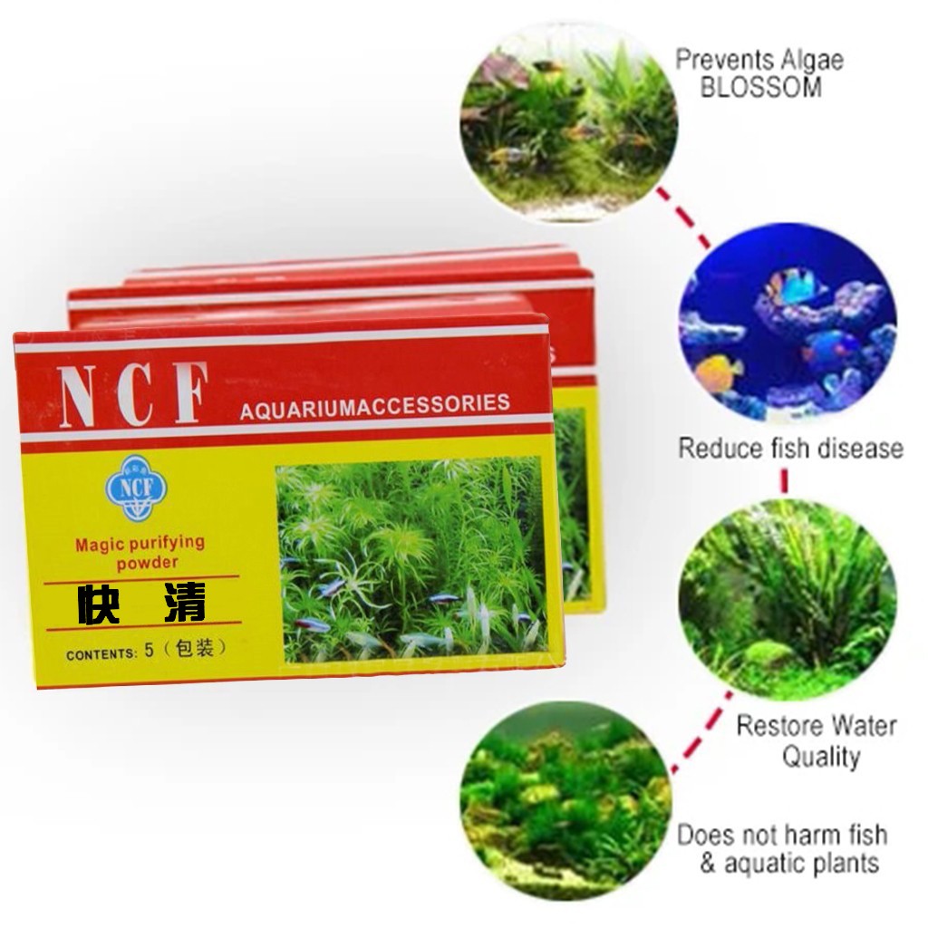 수족관 정수 분말 냄새 제거 조류 제거 이끼 제거 민물 - Aquarium Moss 리뷰 및 가격